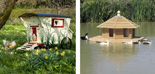 Chicken Coop and floating duck lodge